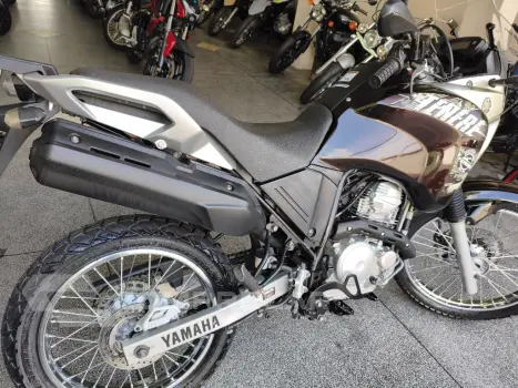XTZ 250 TENERE/TENERE BLUEFLEX