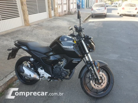 Fz15