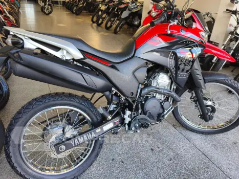 XTZ 250 LANDER 249cc/LANDER BLUEFLEX/ABS