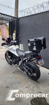 tiger 900 rally pro
