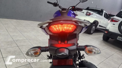 FZ25 250 FAZER FLEX