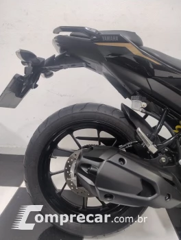 FZ25