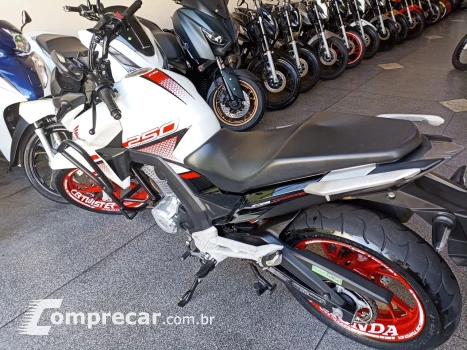 CB 250 TWISTER/FLEXONE