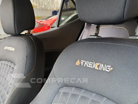 ARGO TREKKING 1.3 8V Flex