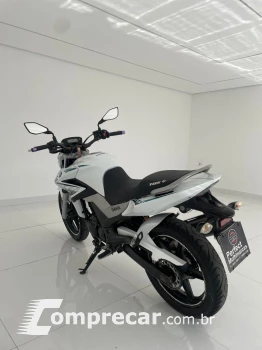 FAZER YS 250 BUEFLEX