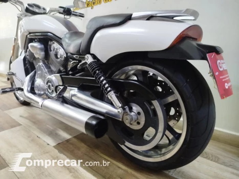 V Rod Custom 1250 cc