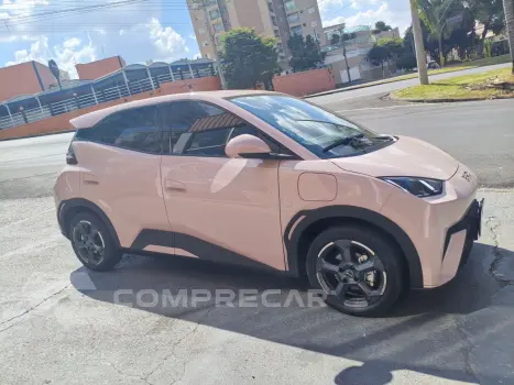 Dolphin Mini 38 KW ELÉTRICO