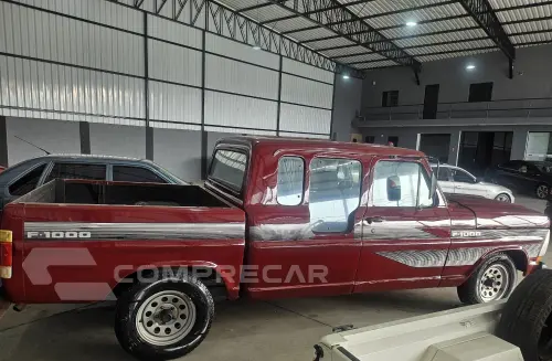 F-1000 3.9 Engerauto CD 8V