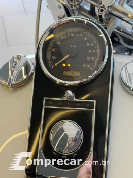 SOFTAIL DELUXE FLSTN