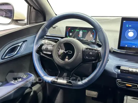 DOLPHIN MINI GS EV