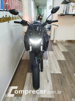 Fazer FZ25