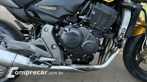 CB 600 HORNET