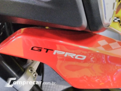 Tiger 900 gt pro