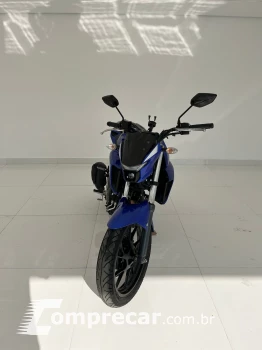 FZ250 FAZER