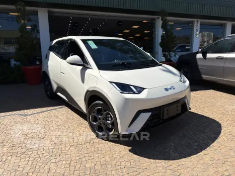 Dolphin Mini 38 Kw Elétrico Gs
