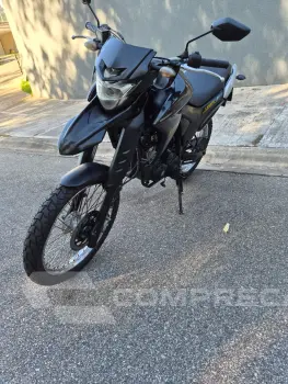 Yamaha Lander Xtz 250 flex