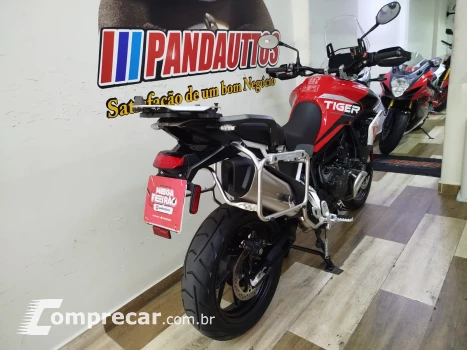 Tiger 900 GT ARAGÓN