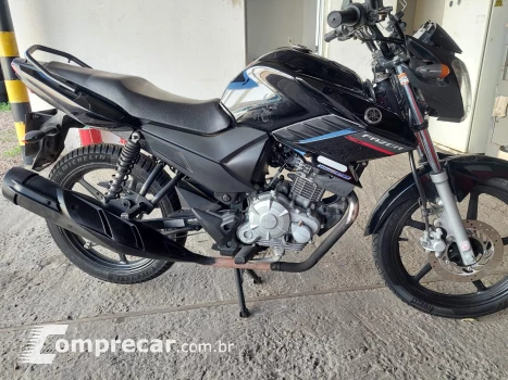 YS 150 FAZER ED