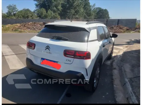 C4 cactus
