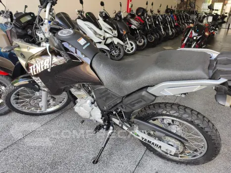 XTZ 250 TENERE/TENERE BLUEFLEX