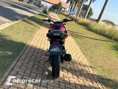 FZ25 FAZER