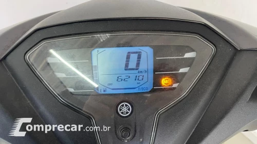 Fluo 125
