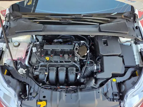 Focus TITA/TITA Plus 2.0  Flex 5p Aut.