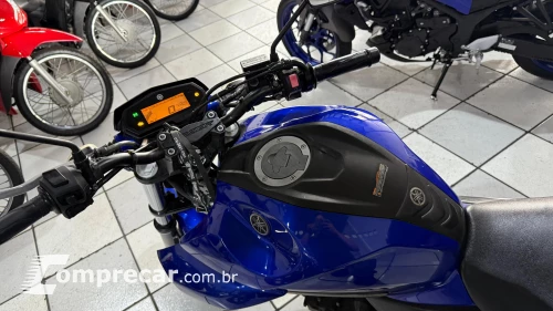 FZ25 ABS