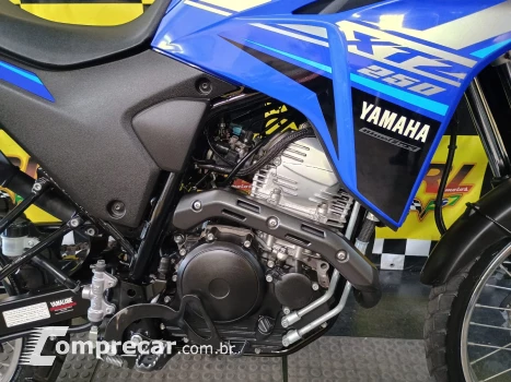 XTZ 250 lander
