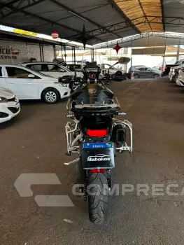 TIGER 900 RALLY PRO