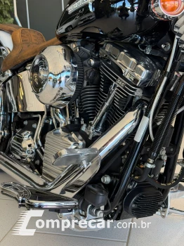 SOFTAIL DELUXE FLSTN