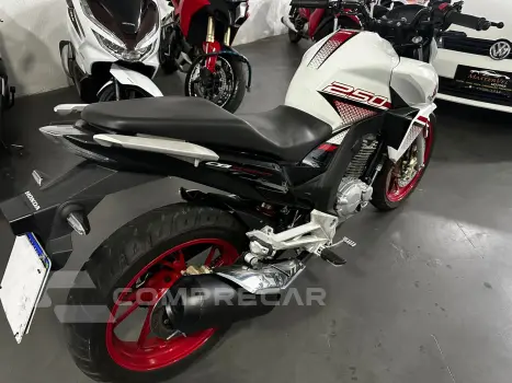CB 250F TWISTER