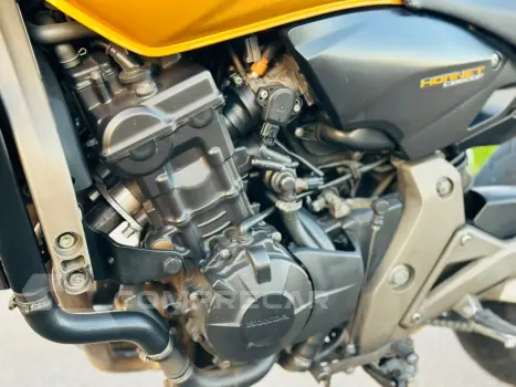 CB 600F HORNET