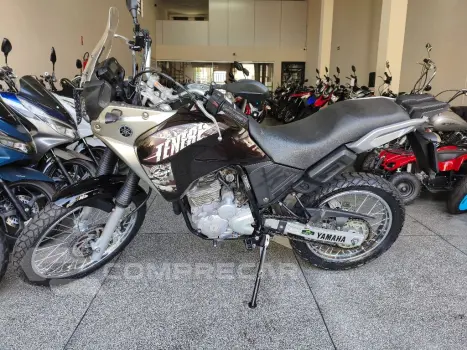 XTZ 250 TENERE/TENERE BLUEFLEX