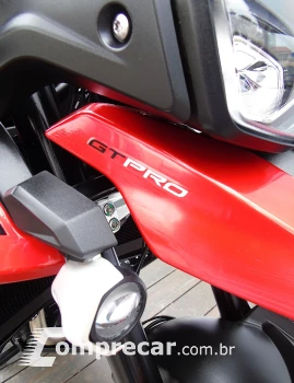TRIUMPH TIGER 900 GT PRO