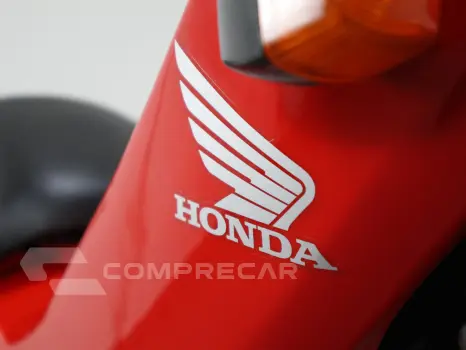 HONDA POP 100