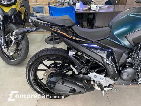 FZ 25 FAZER 250