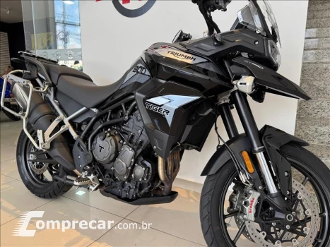 TIGER 900 GT PRO