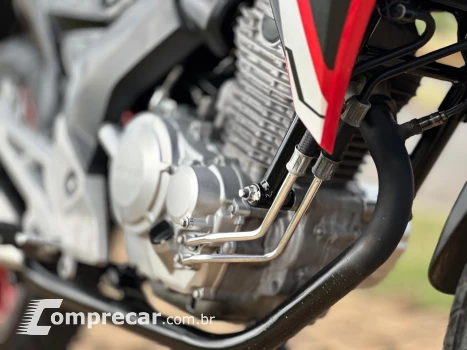CB 250F TWISTER