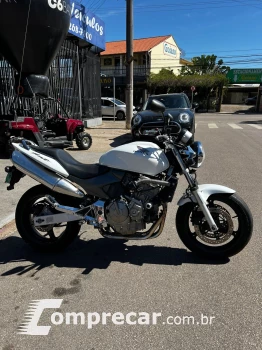 hornet 600