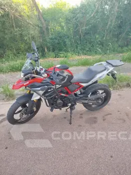 GS 310
