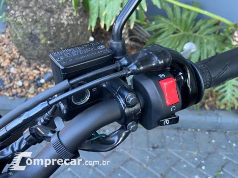 FZ25 FAZER 250 ABS