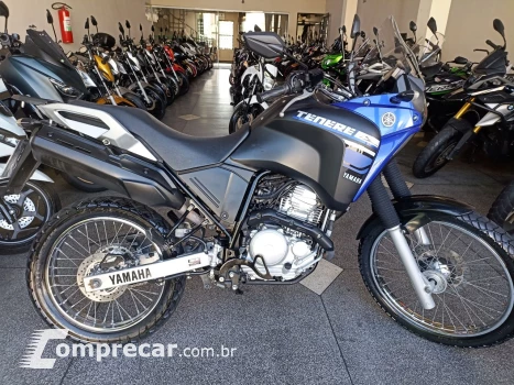 Yamaha XTZ 250 TENERE/TENERE BLUEFLEX