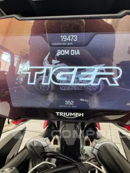 Tiger 900 GT N/D