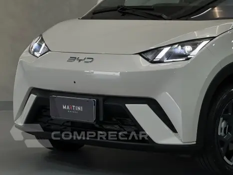 Dolphin EV GS (Elétrico)