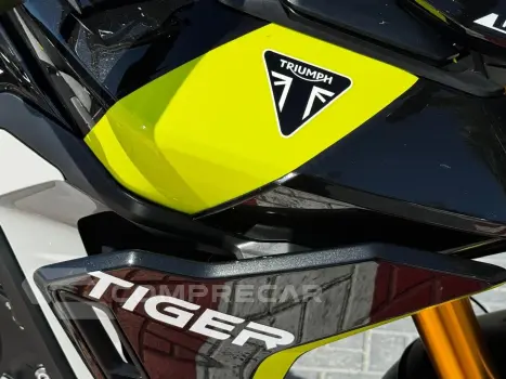 TIGER 900 RALLY PRO