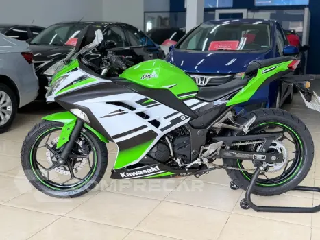 NINJA 300
