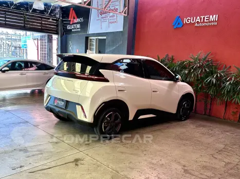 DOLPHIN MINI GS EV