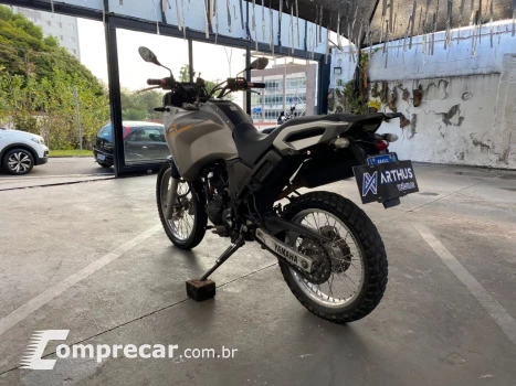 XTZ 250 TENERE/TENERE BLUEFLEX