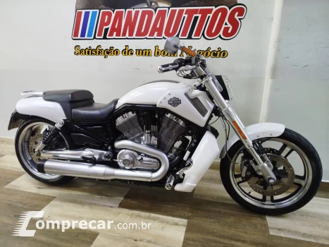 V Rod Custom 1250 cc